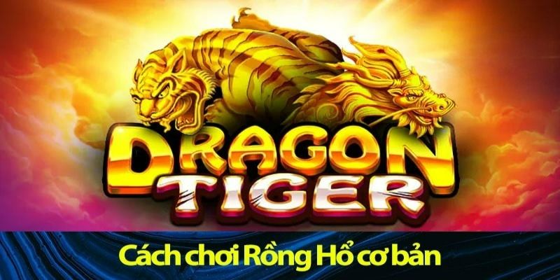 Hướng dẫn chi tiết luật chơi Rồng Hổ 77Bet