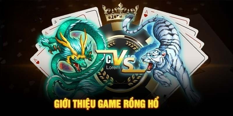 Rồng hổ 77bet